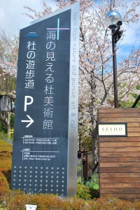 桜情報②　見ごろを迎えています！-1